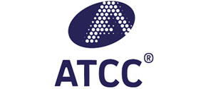 NTT Logo